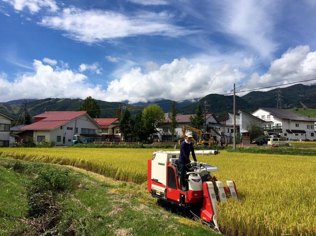 Yamakyuso Hotel Otari Eksteriør billede